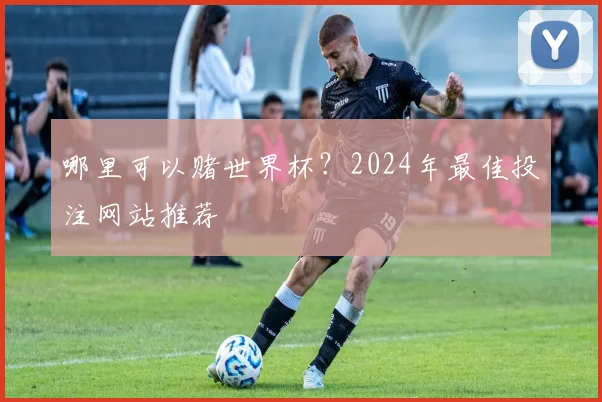 哪里可以赌世界杯?2024年最佳投注网站推荐