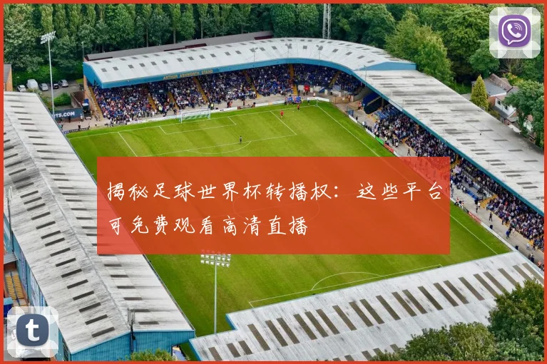揭秘足球世界杯转播权:这些平台可免费观看高清直播