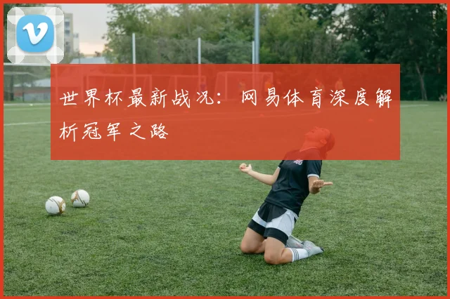 世界杯最新战况：网易体育深度解析冠军之路