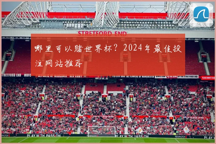 哪里可以赌世界杯?2024年最佳投注网站推荐