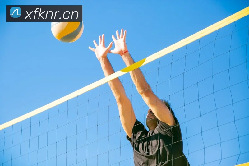 九游j9官方旗舰店平台生态图