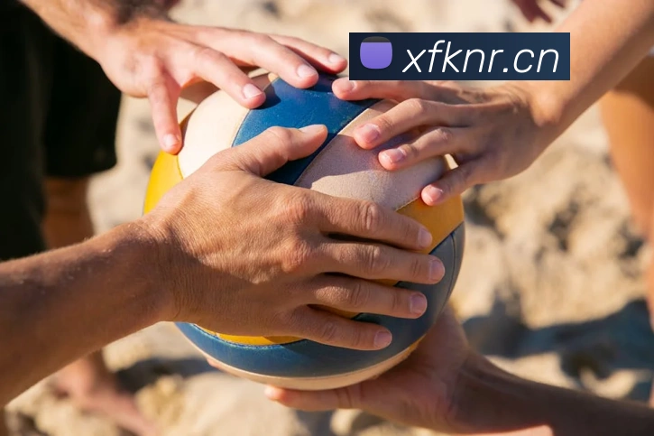 九游j9官方旗舰店APP 封面图